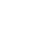 2323
